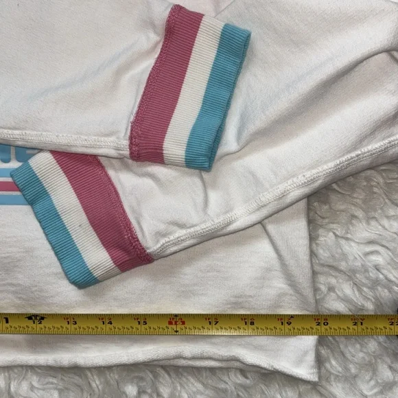 Target🎯Pride “Support One Another” Cropped Hoodie, Size S - Picture 9 of 13